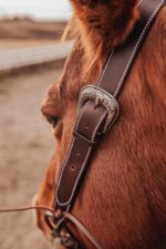 western bridle leather headstall for horses western horse tack ranch hand (32)