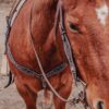 western bridle leather headstall for horses western horse tack ranch hand (37)