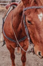 western bridle leather headstall for horses western horse tack ranch hand (37)