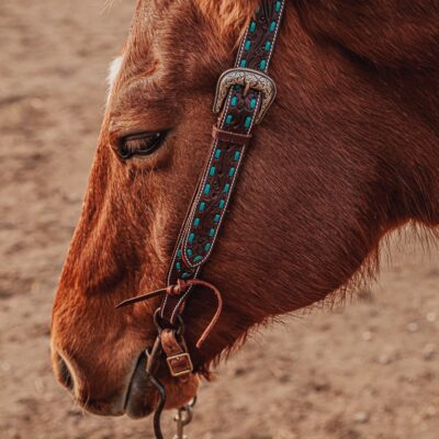 western bridle leather headstall for horses western horse tack ranch hand (42)