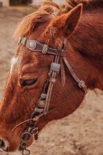 western bridle leather headstall for horses western horse tack ranch hand (44)