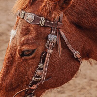 western bridle leather headstall for horses western horse tack ranch hand (44)