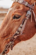 western bridle leather headstall for horses western horse tack ranch hand (45)