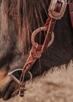 western bridle leather headstall for horses western horse tack ranch hand (5)