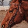 Antique Leather Wide Browband Headstall - Bridle with Tooling - view 8