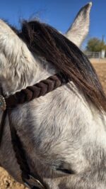 Silver Sage metal browband headstall with silver rings (1)