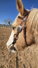 Silver Sage metal browband headstall with silver rings (2)