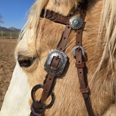 Silver Sage metal browband headstall with silver rings (4)