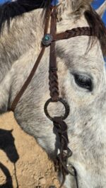 Silver Sage metal browband headstall with silver rings (7)