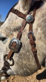 Silver Sage metal browband headstall with silver rings (8)