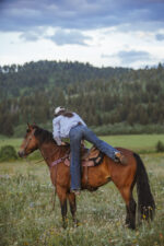 chocolate roughout headstall with white buckstitch ranch hand (5)