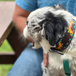 Picture of Brittany Pohler