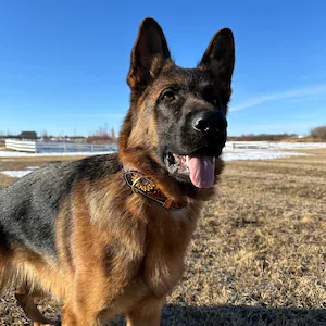 Picture of Holly LeRiche