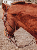 reins split reins and roping reins. twisted iron rose gold metal ring reins ranch hand (1)