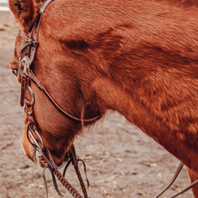 reins split reins and roping reins. twisted iron rose gold metal ring reins ranch hand (1)