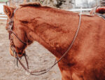 reins split reins and roping reins. twisted iron rose gold metal ring reins ranch hand (2)