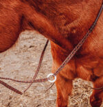 reins split reins and roping reins. twisted iron rose gold metal ring reins ranch hand (3)