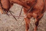 reins split reins and roping reins. twisted iron rose gold metal ring reins ranch hand (4)