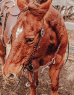 reins split reins and roping reins. twisted iron rose gold metal ring reins ranch hand (6)
