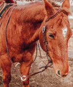 reins split reins and roping reins. twisted iron rose gold metal ring reins ranch hand (7)