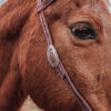 Cowpuncher Sliding One Ear Headstall With Tooling - view 6
