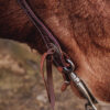 Cowpuncher Sliding One Ear Headstall With Tooling - view 5