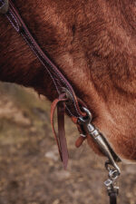 western horse tack ranch hand. headstall bridle breast collar metal ring reins (27)