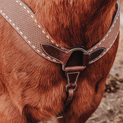 western horse tack ranch hand. headstall bridle breast collar metal ring reins (47)