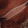 Wrangler Roughout Breast Collar - White Buckstitch - view 9