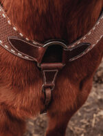 western horse tack ranch hand. headstall bridle breast collar metal ring reins (50)