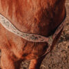 western horse tack ranch hand. headstall bridle breast collar metal ring reins (56)