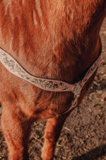 western horse tack ranch hand. headstall bridle breast collar metal ring reins (56)