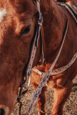 western horse tack ranch hand. headstall bridle breast collar metal ring reins (59)