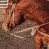 Turquoise Breeze - Weighted Leather Split Reins - view 13