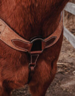 western horse tack ranch hand. headstall bridle breast collar metal ring reins (69)