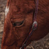Cowpuncher Sliding One Ear Headstall With Tooling - view 8