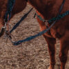 Black Breeze - Leather Split Reins Turquoise Tooling - view 9