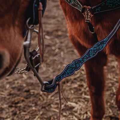 western horse tack ranch hand. headstall bridle breast collar metal ring reins (76)
