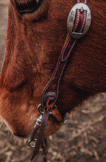 western horse tack ranch hand. headstall bridle breast collar metal ring reins (8)