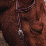 Cowpuncher Sliding One Ear Headstall With Tooling