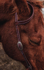 western horse tack ranch hand. headstall bridle breast collar metal ring reins (9)