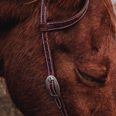 western horse tack ranch hand. headstall bridle breast collar metal ring reins (9)