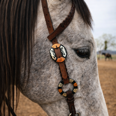 metal ring one ear headstall bridle