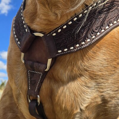 Buckstitch breast collar. handmade leather horse tack by ranch hand (6)