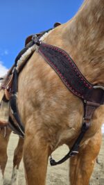 Buckstitch breast collar. handmade leather horse tack by ranch hand (8)