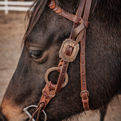 Rose gold metal ring bridle headstall by ranch hand premium ring set