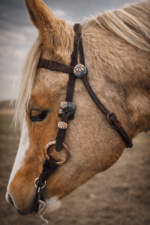 Rose gold metal ring bridle headstall by ranch hand premium ring set copper mesa