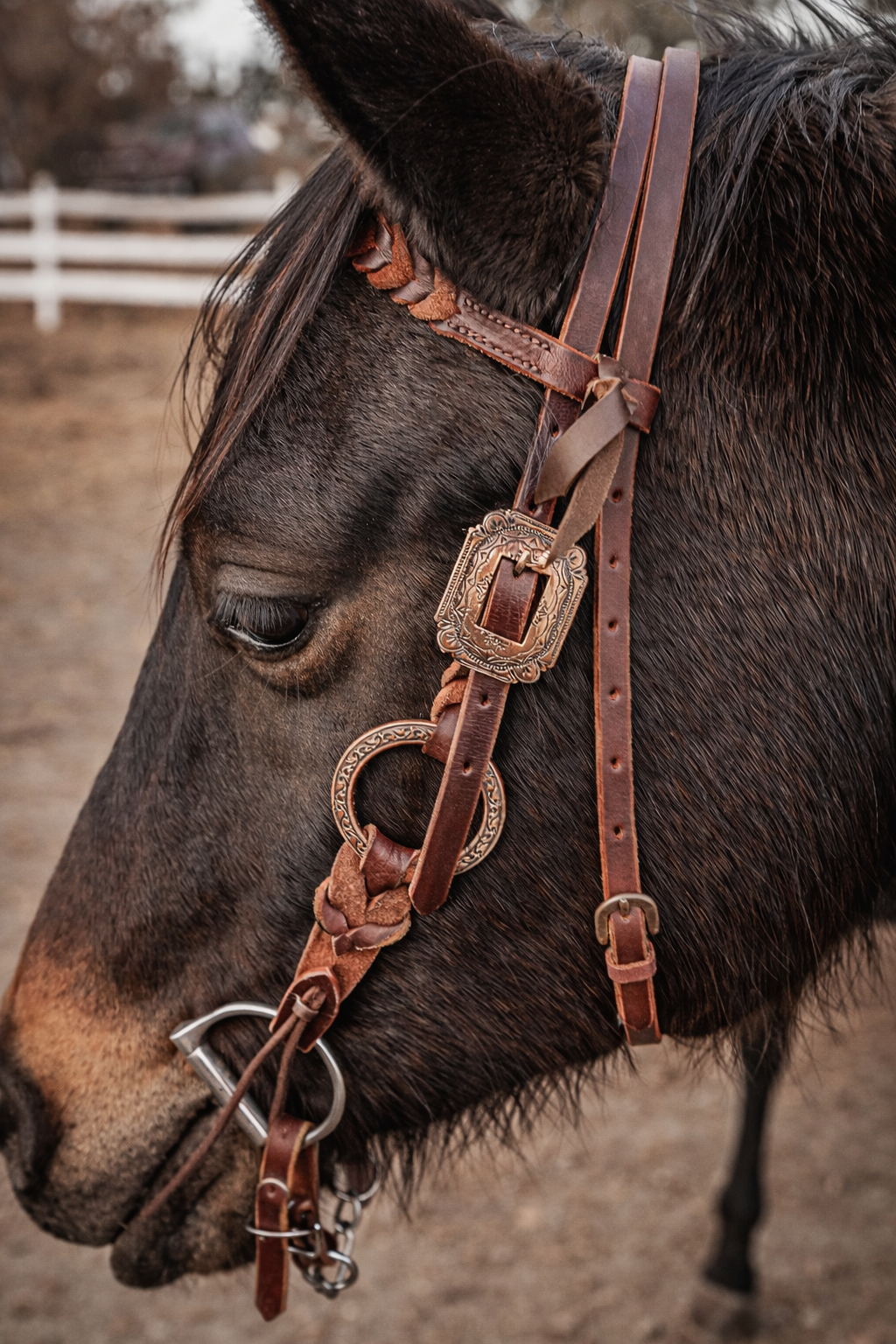 Rose gold metal ring bridle headstall by ranch hand premium ring set