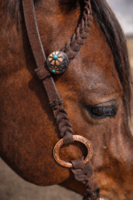 Rose gold metal ring bridle one ear headstall by ranch hand premium ring set copper mesa