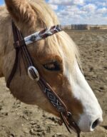 metal ring breast collar and headstall metal ring bridle leather westner horse tack ranch hand (5)
